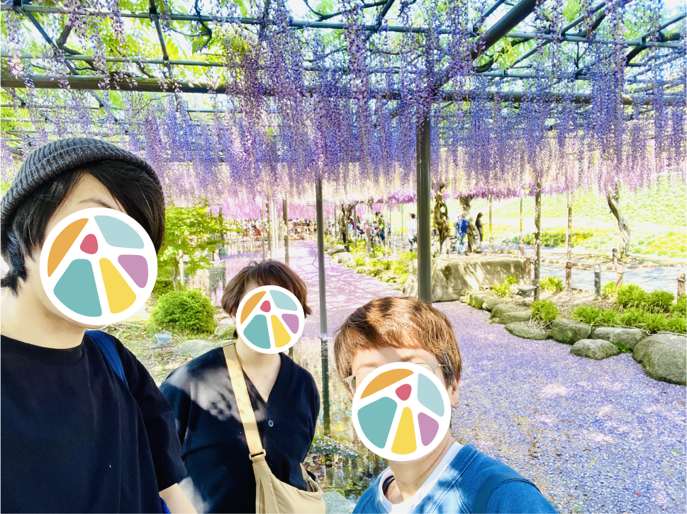 津島市の天王川公園での藤の花まつりの写真です。社員で写真を撮りました。