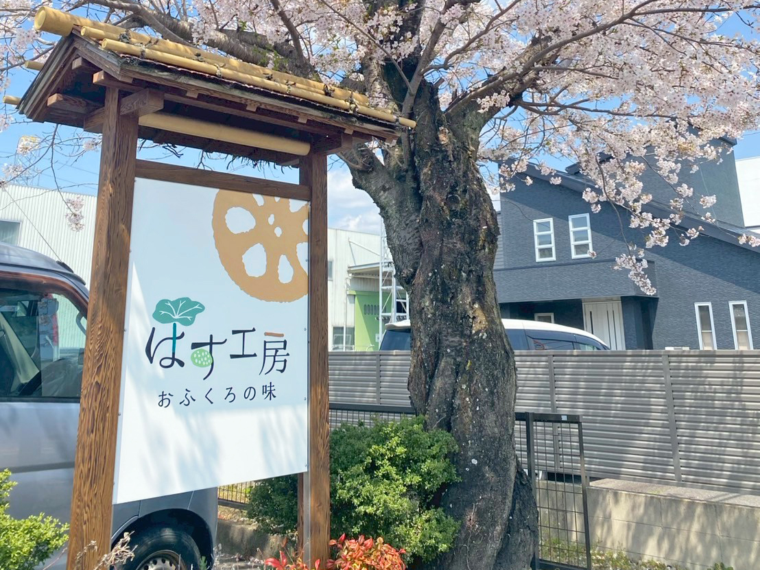 愛西市・国道155号線・本店の「はす工房」様の自立看板です。