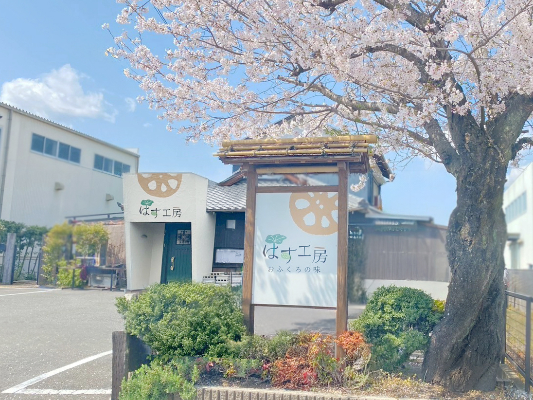 愛西市・国道155号線・本店の「はす工房」様の店舗外観の写真です。